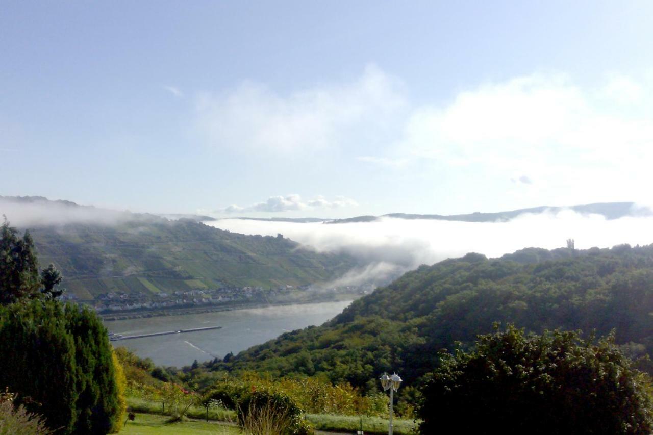 Schau-Rhein#1 - On Top Of Bacharach, Rhineview Exterior photo